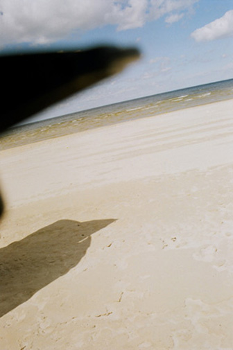 Crow's Shadow